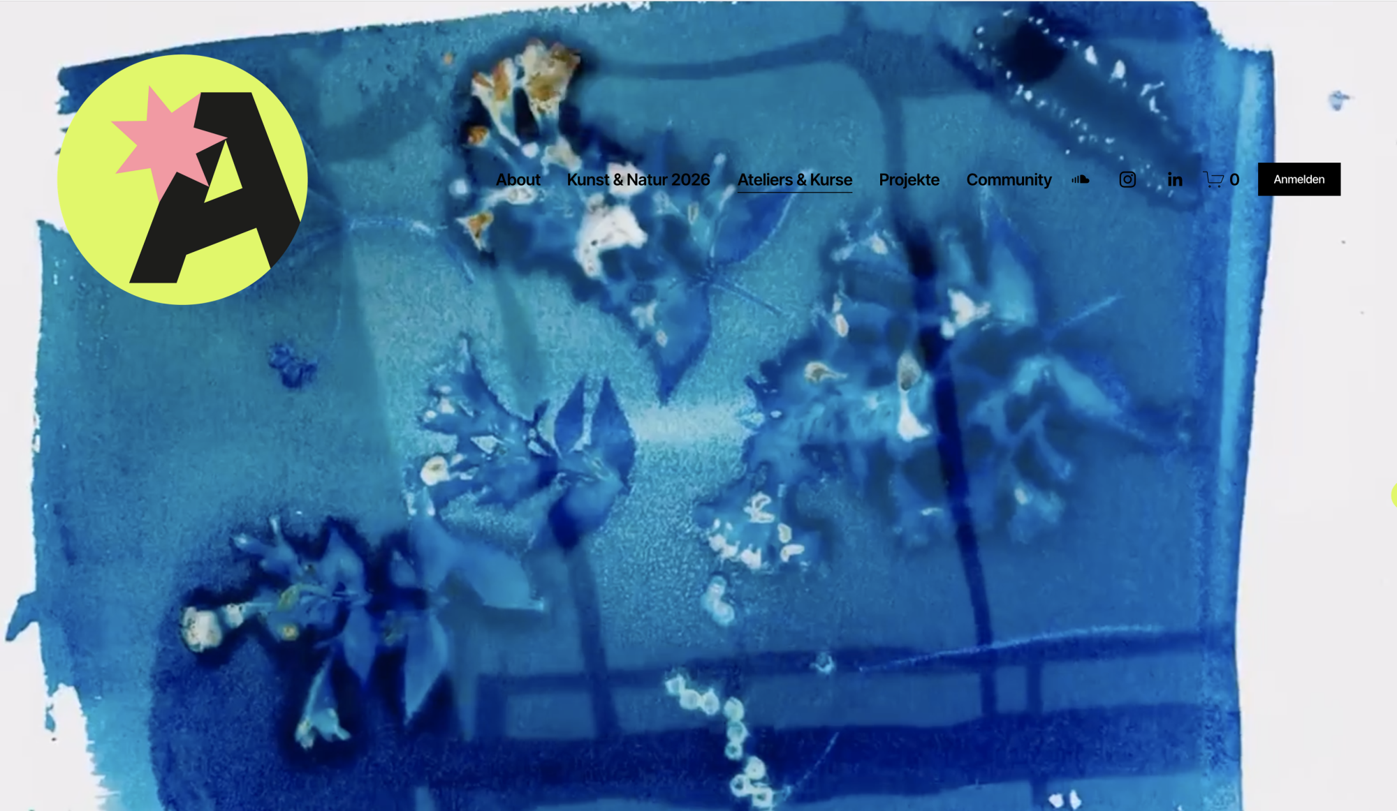 Bild zum Event: BotGartenZuerichs 